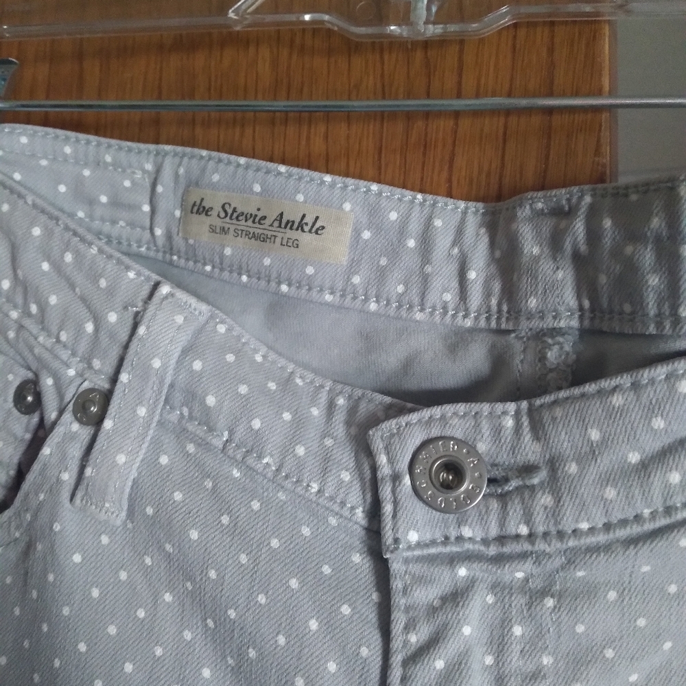 AG ADRIANO GOLDSCHMIED The Stevie Ankle Slim Leg Dot Grey Jeans 30 REGULAR